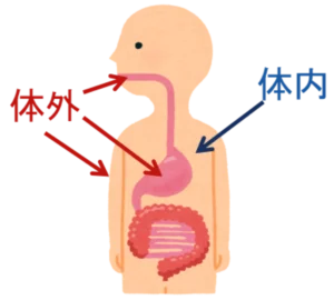 お口は全身の始まりですよ！ 〜口腔機能管理について〜