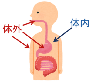 高槻市の歯医者、ゆいファミリー歯科・矯正歯科の口腔機能管理についての解説